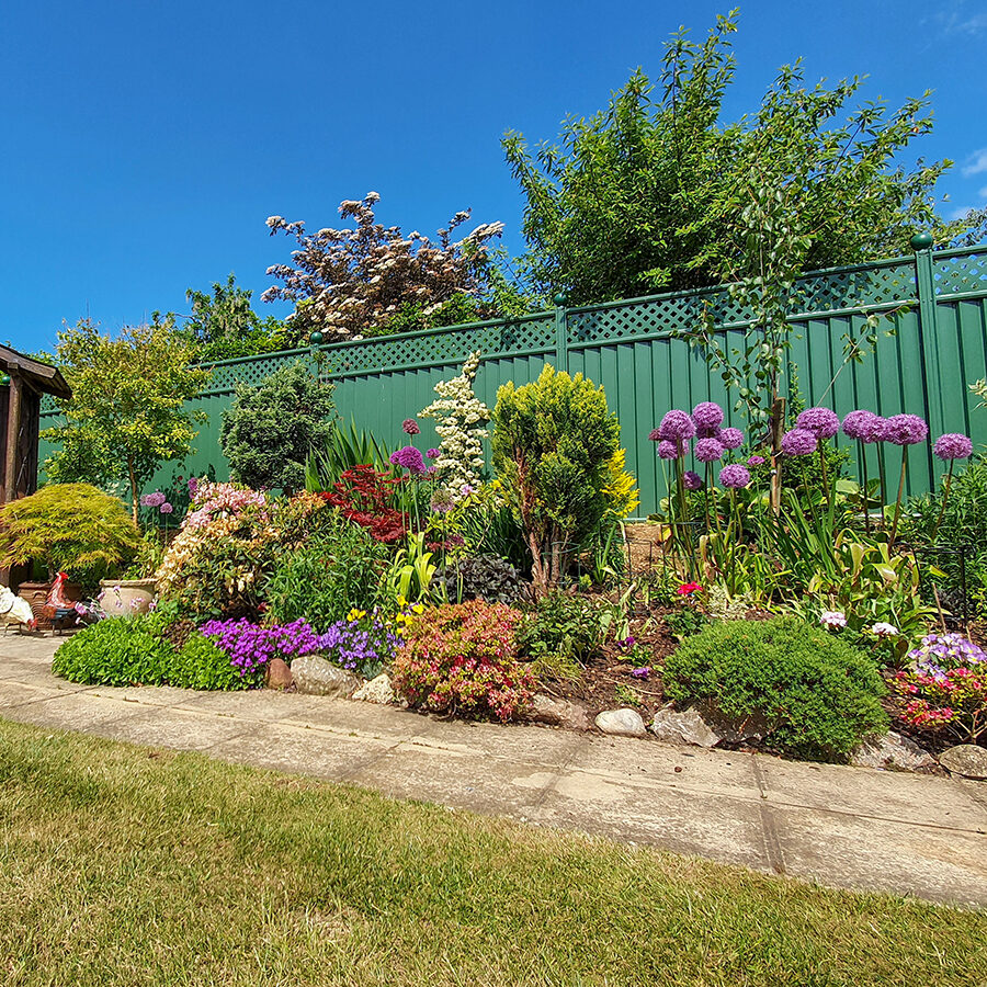 ColourFence Traditional Green Trellis 1